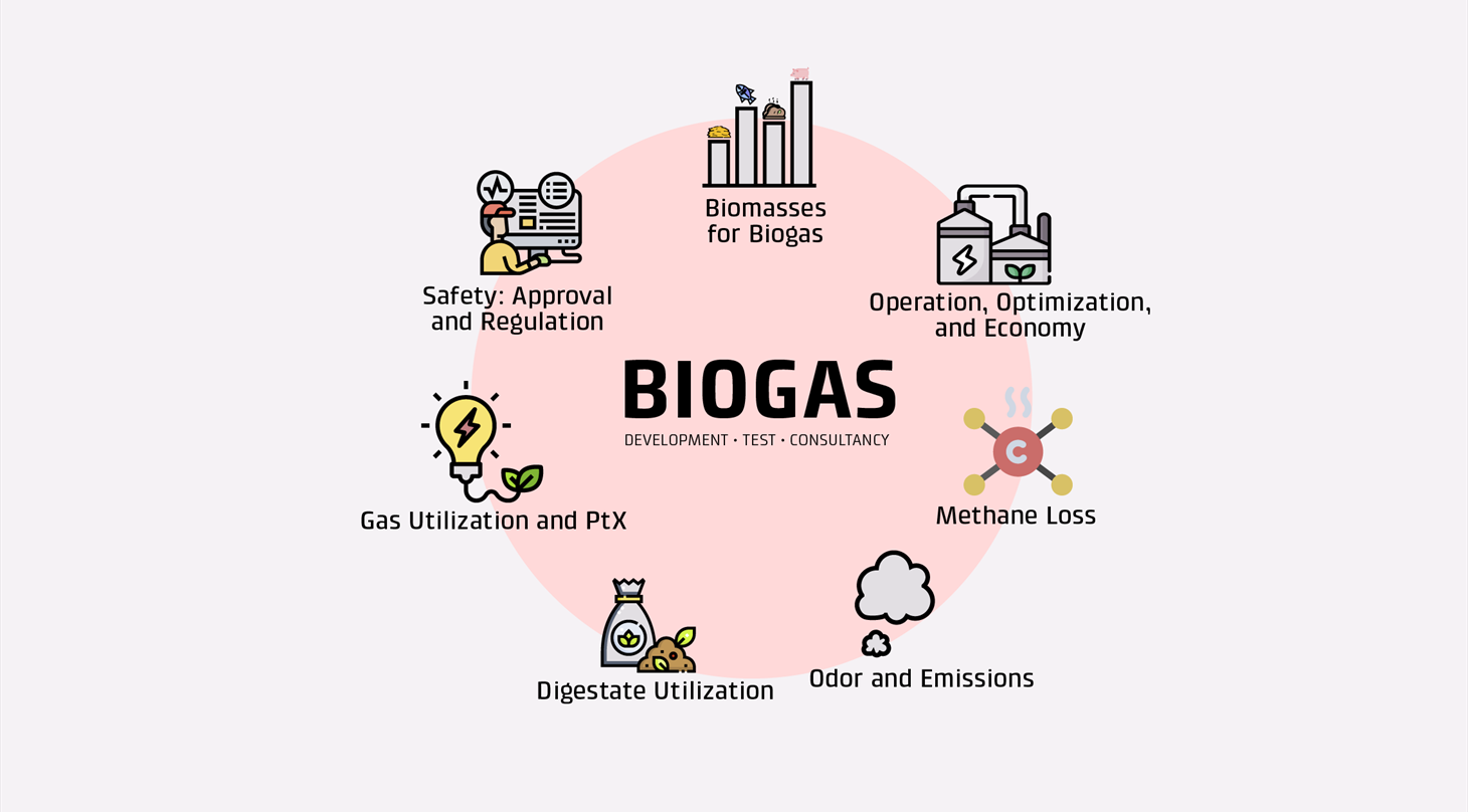 Danish Technological Institute biogas services
